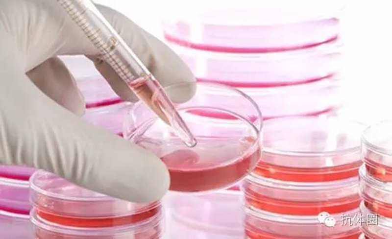 深入解析：生物制品行业的新兴趋势与机遇