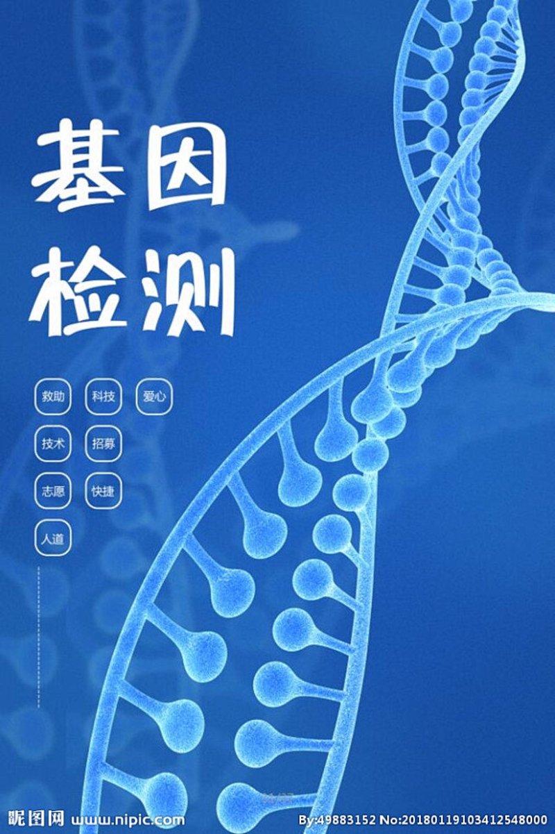 医药研发:从实验室到临床的探索之旅